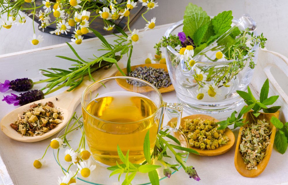6-plantes-du-jardin-parfaites-a-transformer-en-tisane-–-©-pat_hastings-adobestock-1