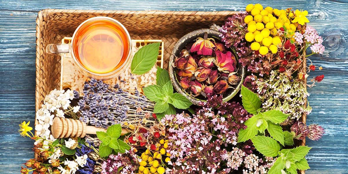 Plantes séchées et infusions